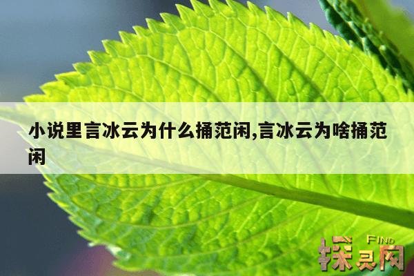 小说里言冰云为什么捅范闲,原著言冰云为什么捅范闲一刀