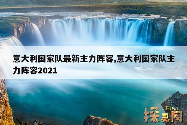 意大利国家队最新主力阵容,意大利国家队阵容2022