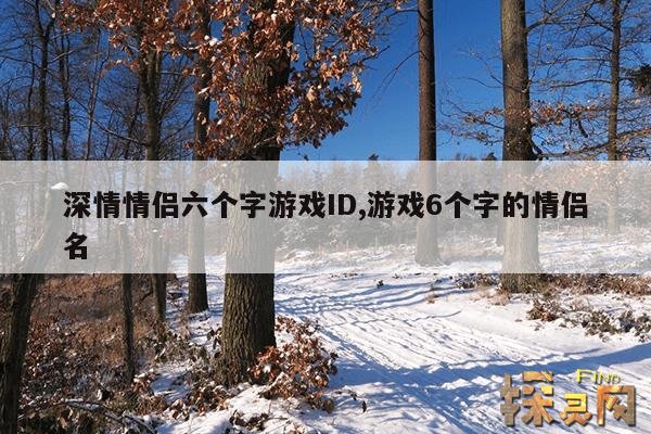 深情情侣六个字游戏ID,6个字情侣游戏名字独特可爱