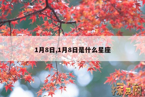 1月8日,1月8日是什么星座