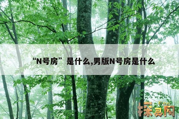 “N号房”是什么,n号房是什么软件