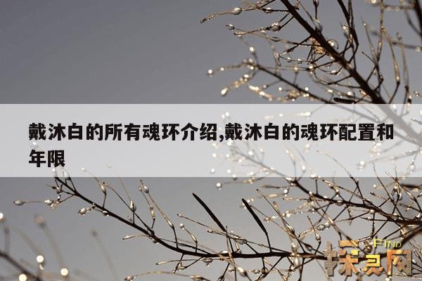 戴沐白的所有魂环介绍,戴沐白的魂环分别是什么