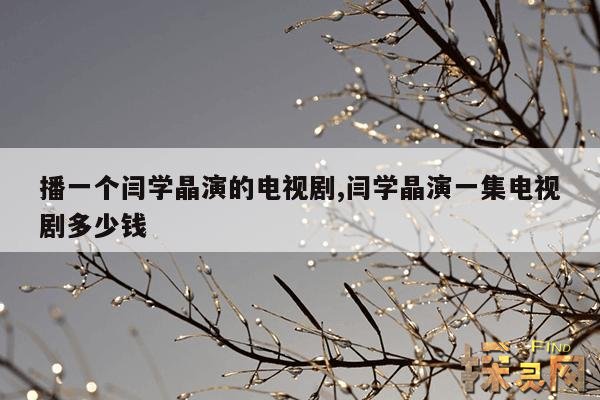 播一个闫学晶演的电视剧,播一个闫学晶演的电视剧多少钱