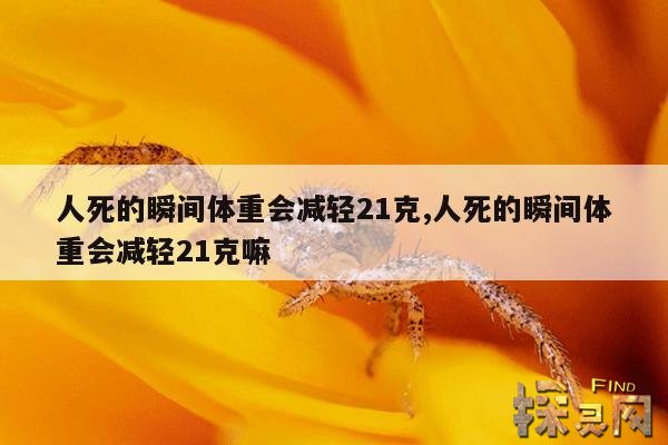 人死的瞬间体重会减轻21克,人死的瞬间体重会减轻21克嘛