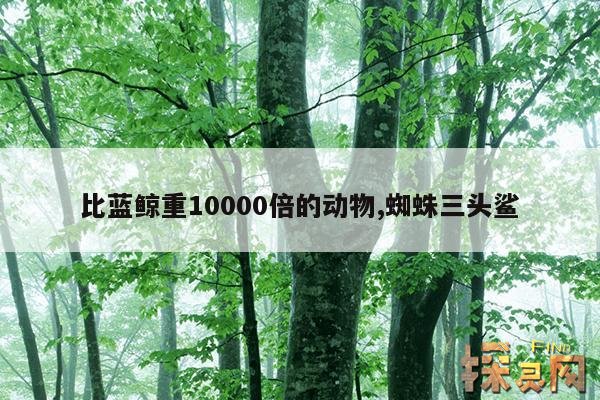 比蓝鲸重10000倍的动物,比蓝鲸重10000倍的动物巨型大猩猩