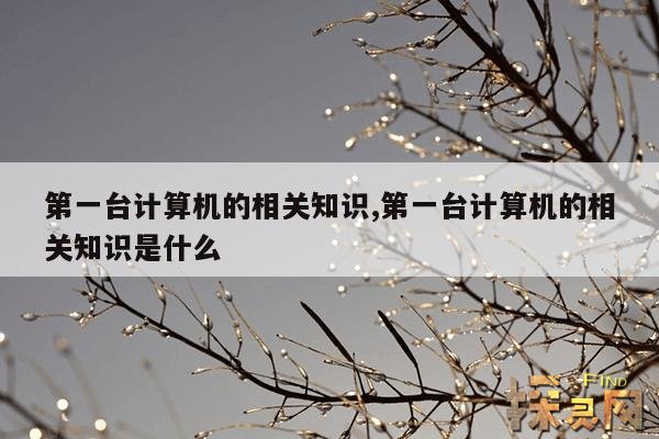 第一台计算机的相关知识,第一台计算机的主要作用