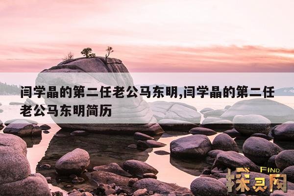 闫学晶的第二任老公马东明,闫学晶的老公马东明是干什么的