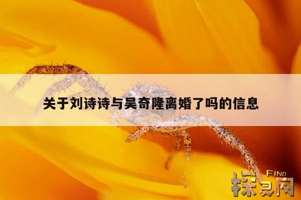 关于刘诗诗与吴奇隆离婚了吗？的信息,刘诗诗与吴奇隆的缘分