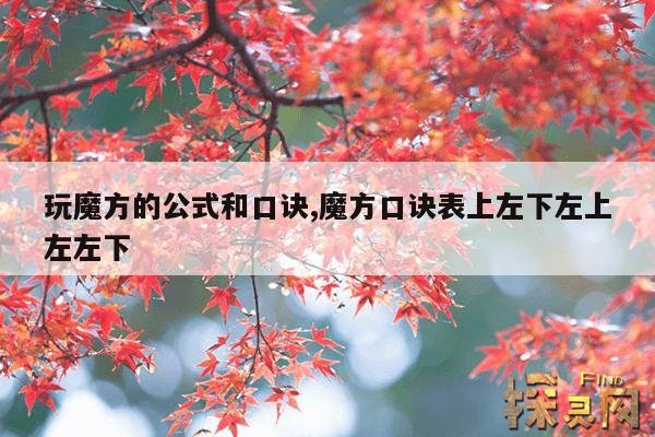 玩魔方的公式和口诀,魔方教程一步一步图解