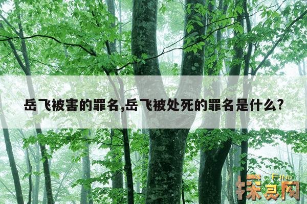 岳飞被害的罪名,岳飞被陷害的罪名