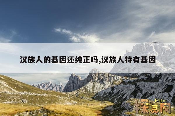 汉族人的基因还纯正吗？,汉人基因纯正省份是哪三个省