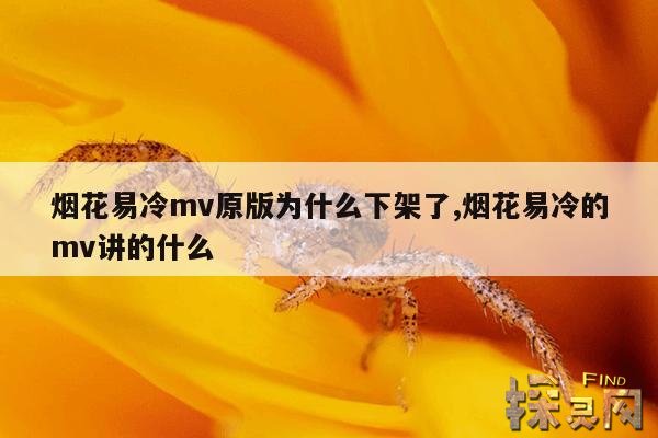 烟花易冷mv原版为什么下架了,烟花易冷是什么的主题曲