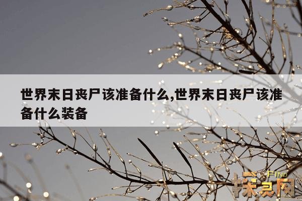 世界末日丧尸该准备什么,世界末日丧尸该准备什么房子