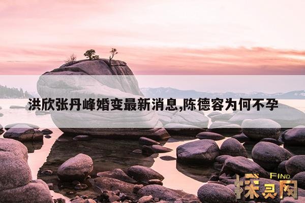 洪欣张丹峰婚变最新消息,洪欣和张丹峰个人资料