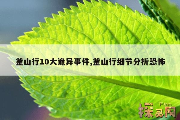 釜山行10大诡异事件,釜山行到底什么泄漏了