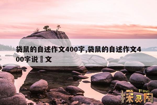 袋鼠的自述作文400字,袋鼠的自述作文400字说明文例文