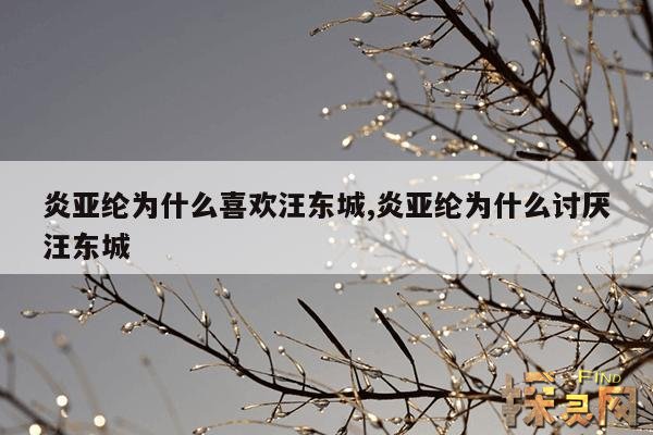 炎亚纶为什么喜欢汪东城,炎亚纶真的爱汪东城吗？