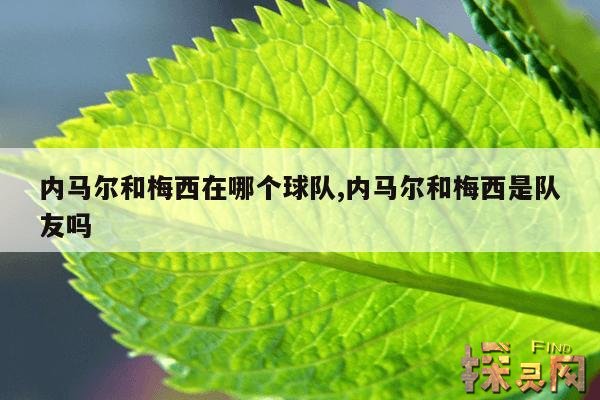 内马尔和梅西在哪个球队,内马尔和梅西在哪个球队打球