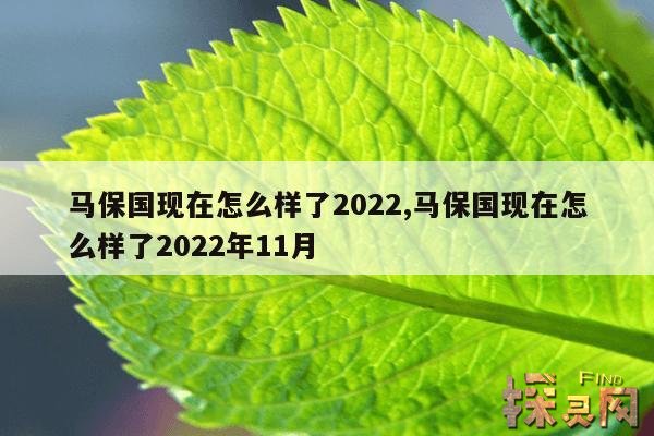 马保国现在怎么样了2022,马保国现在怎么样了2022年11月