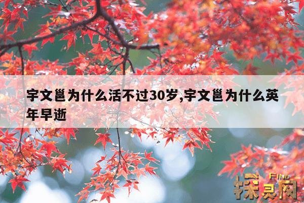 宇文邕为什么活不过30岁,宇文邕没死