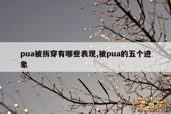 pua被拆穿有哪些表现,pua怕不怕现实被拆穿