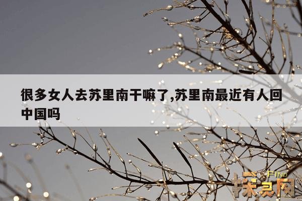 很多女人去苏里南干嘛了,苏里南女孩