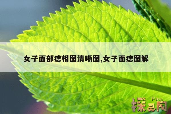 女子面部痣相图清晰图,女人脸痣相图解大全