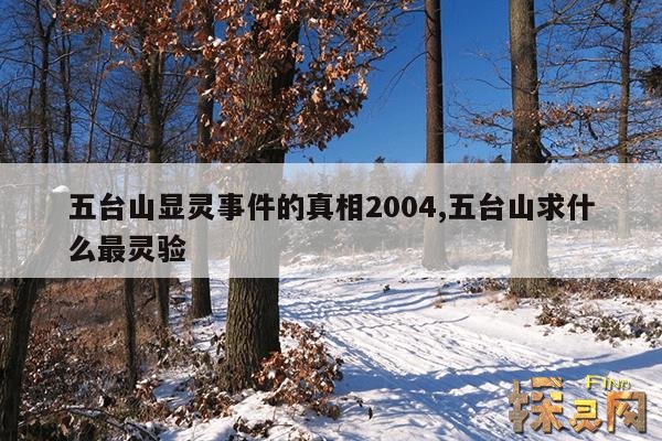 五台山显灵事件的真相2004,五台山 显灵