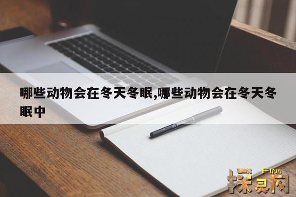 哪些动物会在冬天冬眠,有什么动物会在冬天冬眠