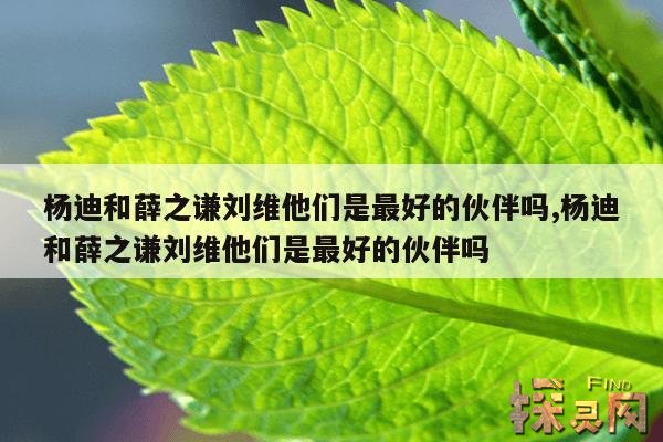 杨迪和薛之谦刘维他们是最好的伙伴吗？,杨迪在薛之谦面前唱演员