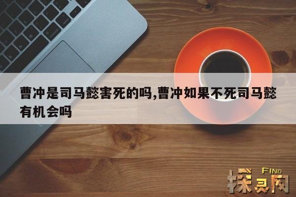 曹冲是司马懿害死的吗？,曹冲和司马懿谁聪明