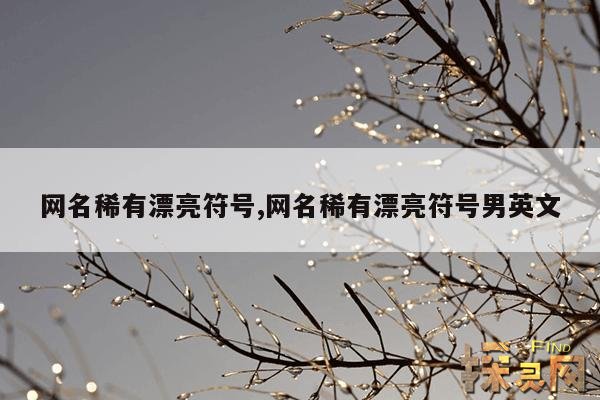 网名稀有漂亮符号,网名稀有漂亮符号两个字