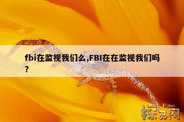 fbi在监视我们么,fbi在监视我们那